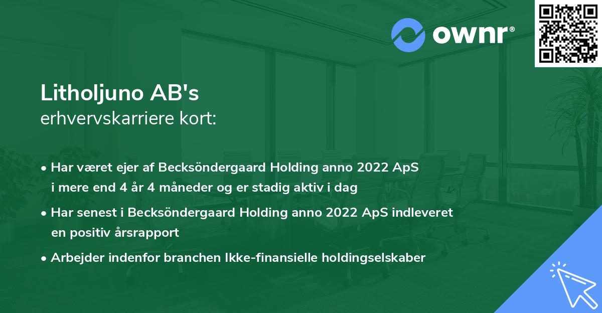 Litholjuno AB's erhvervskarriere kort