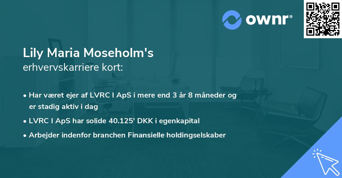 Lily Maria Moseholm's erhvervskarriere kort