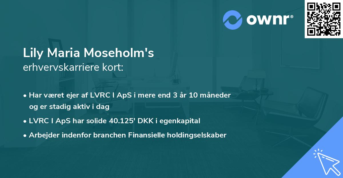 Lily Maria Moseholm's erhvervskarriere kort