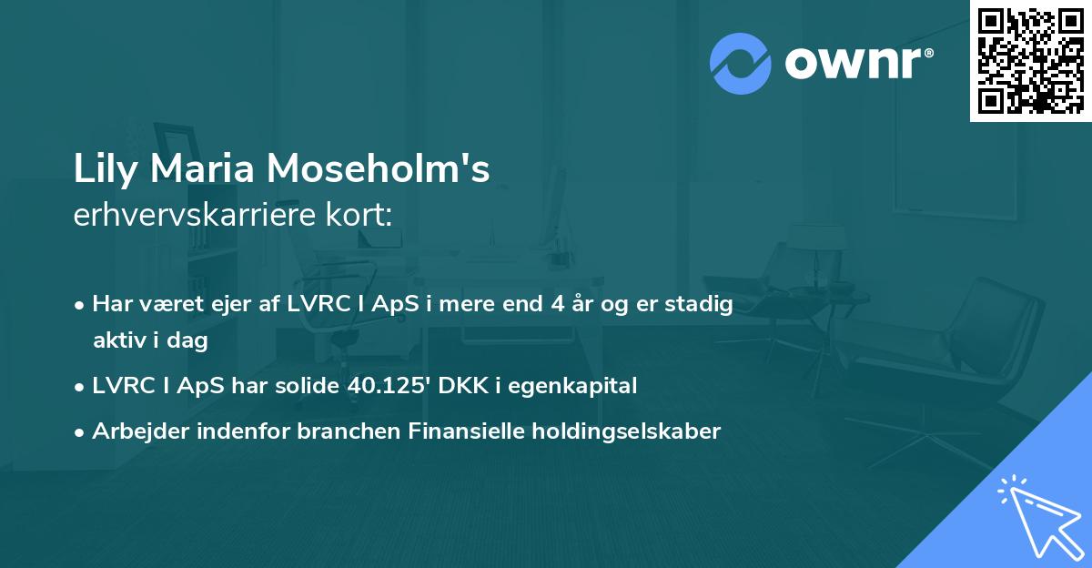 Lily Maria Moseholm's erhvervskarriere kort