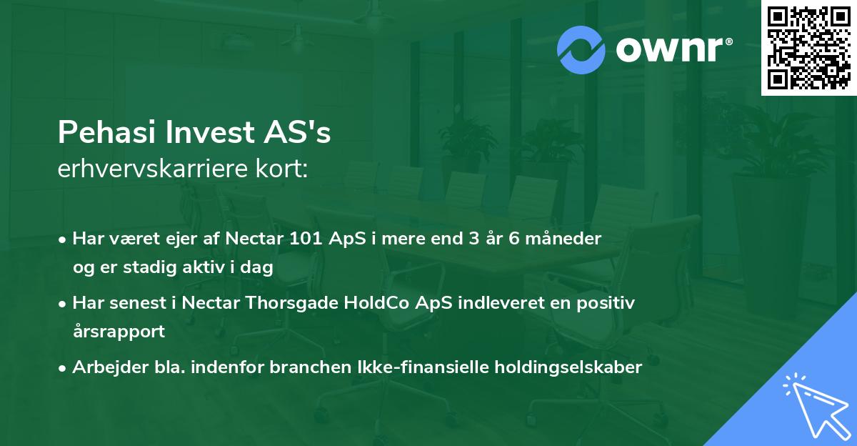 Pehasi Invest AS's erhvervskarriere kort