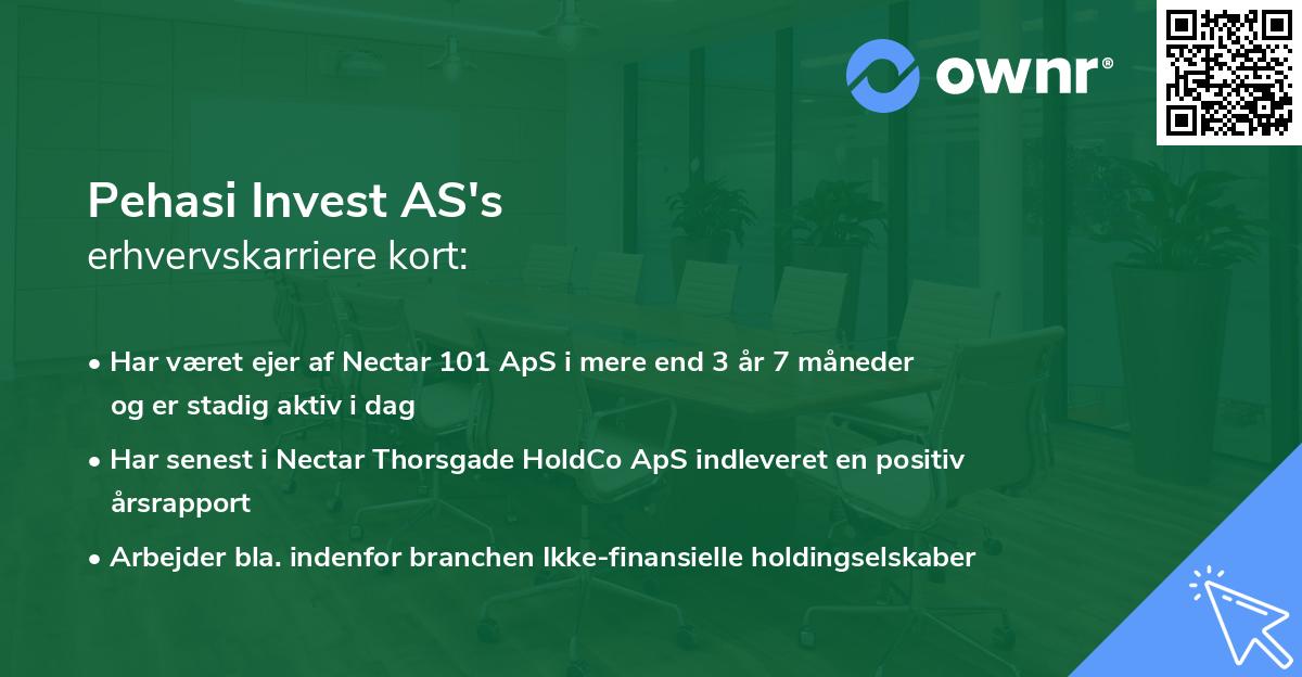 Pehasi Invest AS's erhvervskarriere kort
