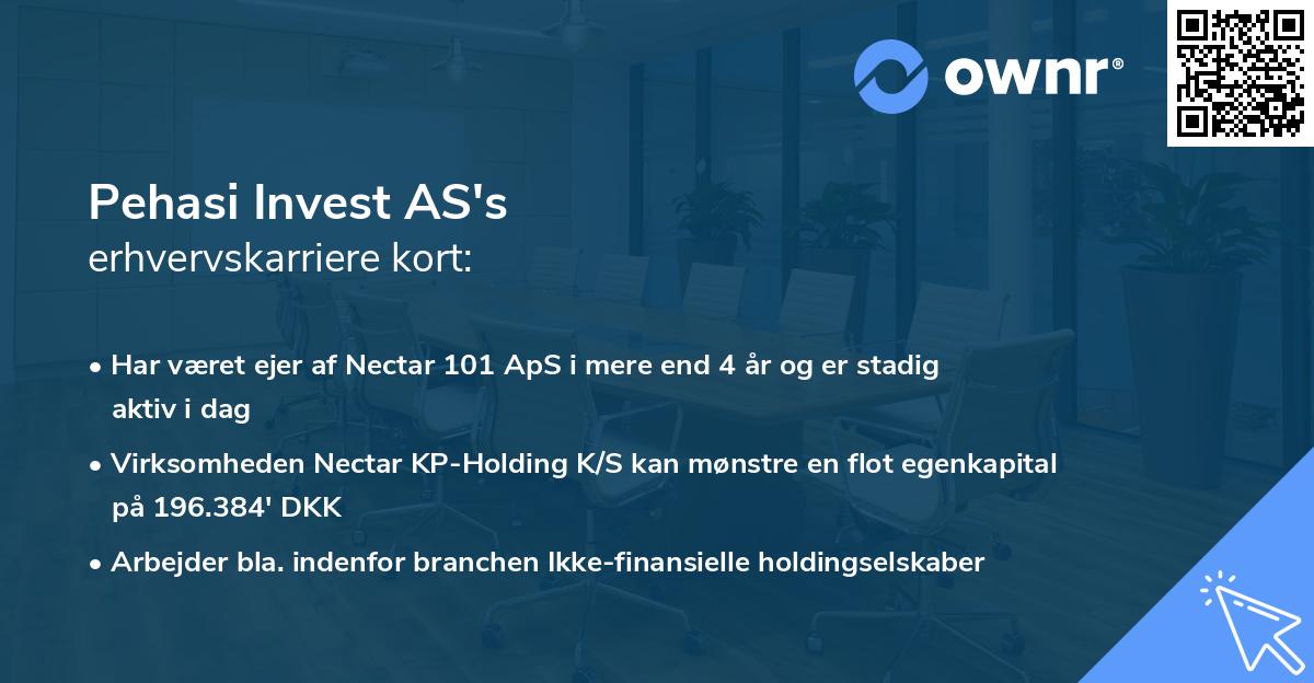 Pehasi Invest AS's erhvervskarriere kort