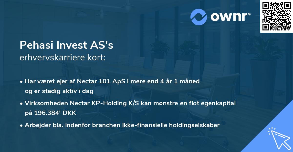 Pehasi Invest AS's erhvervskarriere kort