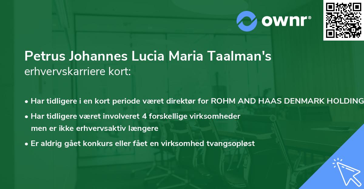 Petrus Johannes Lucia Maria Taalman's erhvervskarriere kort