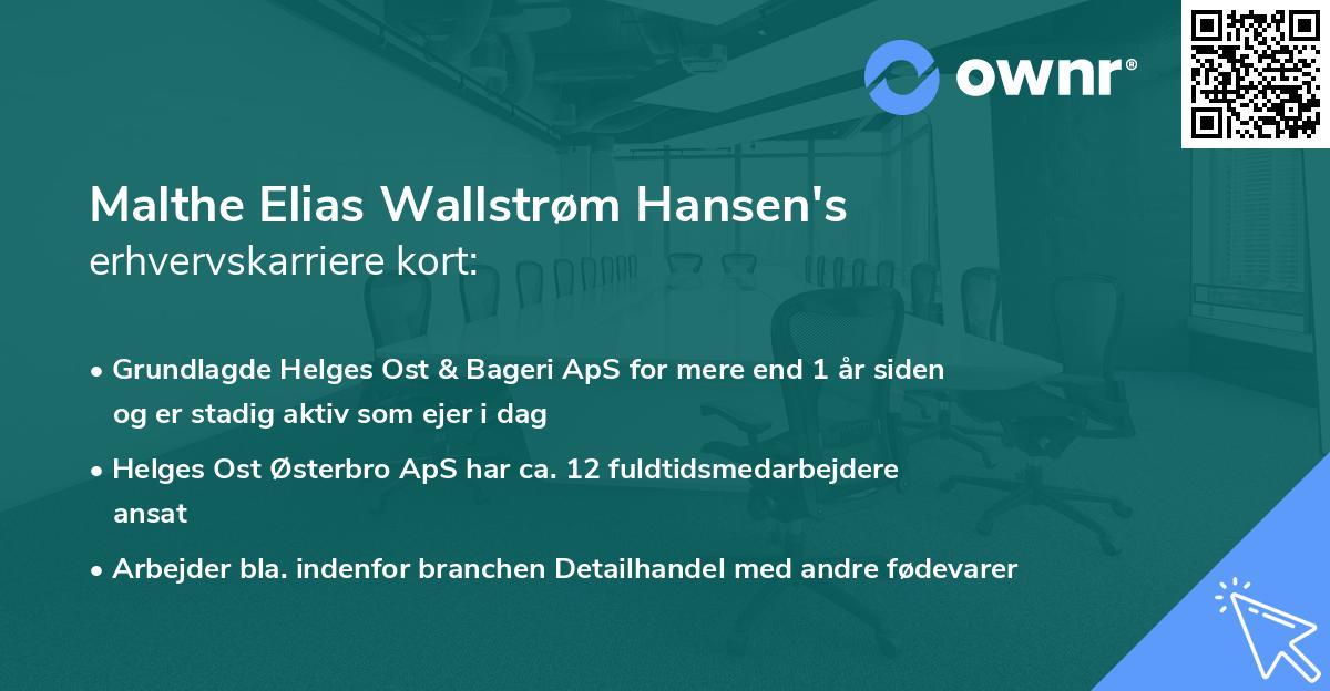 Malthe Elias Wallstrøm Hansen's erhvervskarriere kort
