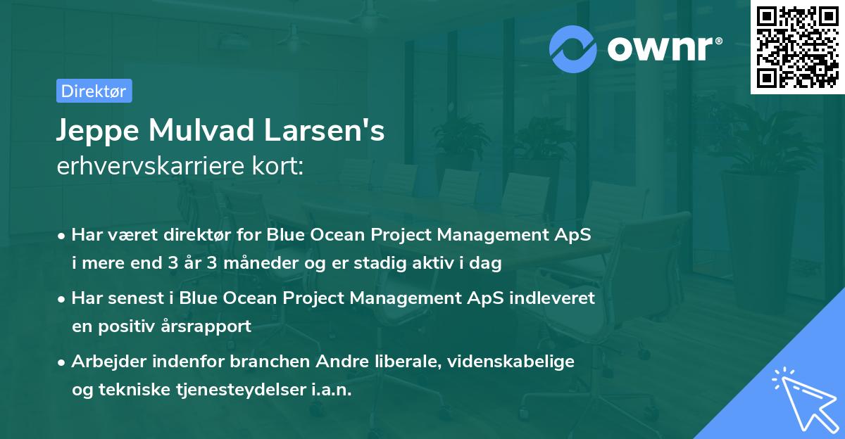 Jeppe Mulvad Larsen's erhvervskarriere kort