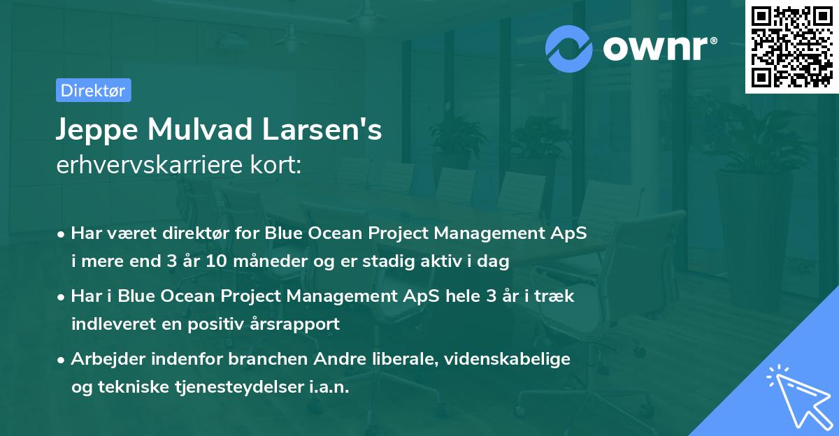 Jeppe Mulvad Larsen's erhvervskarriere kort