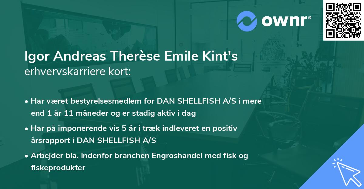 Igor Andreas Therèse Emile Kint's erhvervskarriere kort
