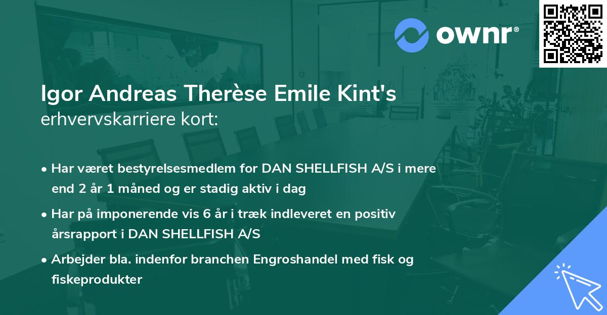 Igor Andreas Therèse Emile Kint's erhvervskarriere kort