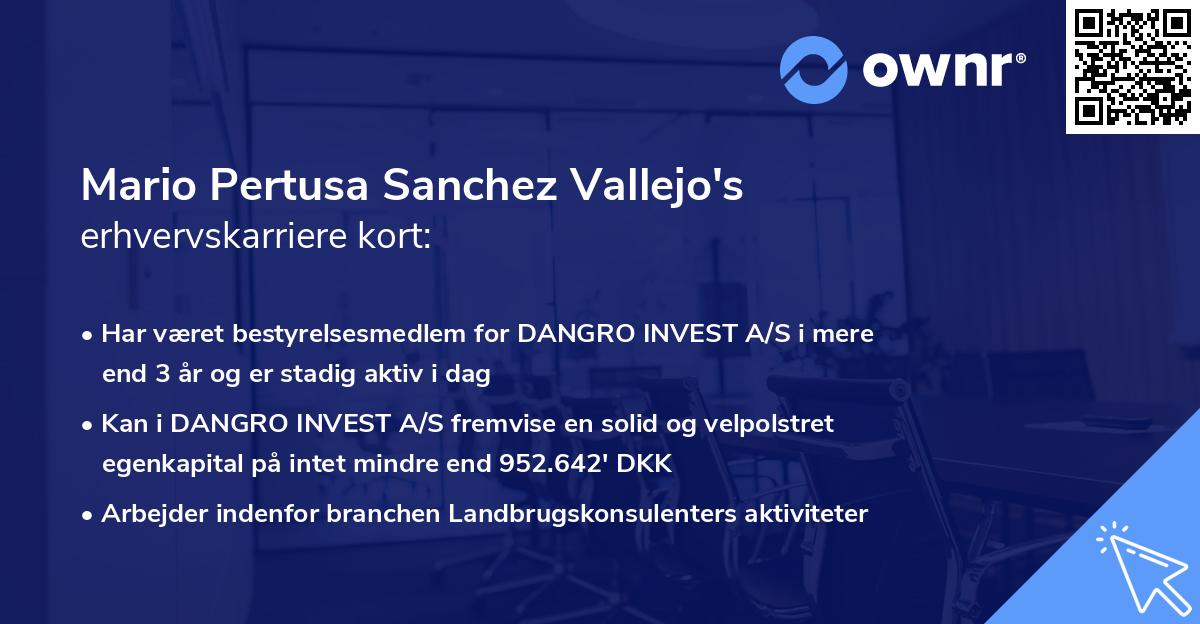 Mario Pertusa Sanchez Vallejo's erhvervskarriere kort