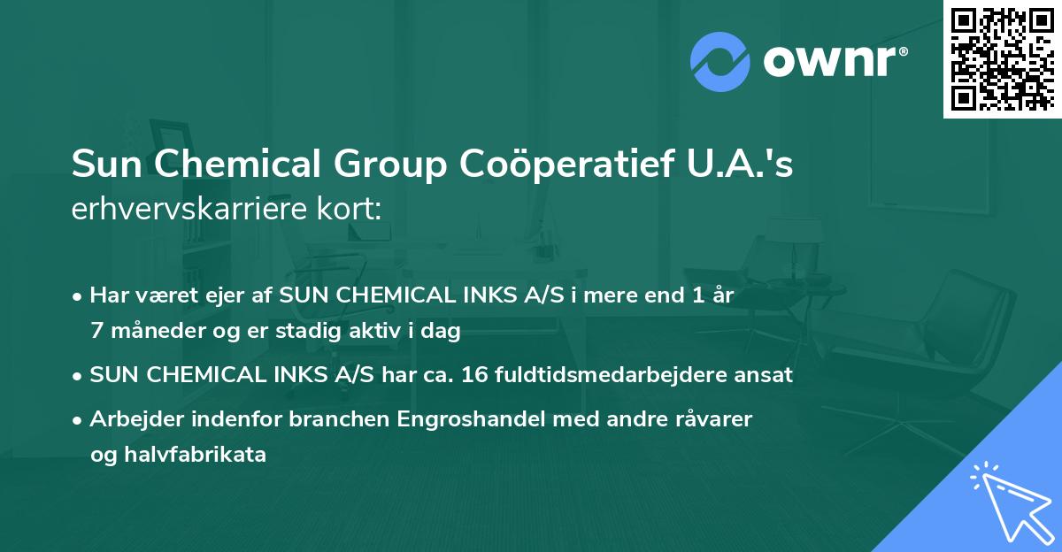 Sun Chemical Group Coöperatief U.A.'s erhvervskarriere kort