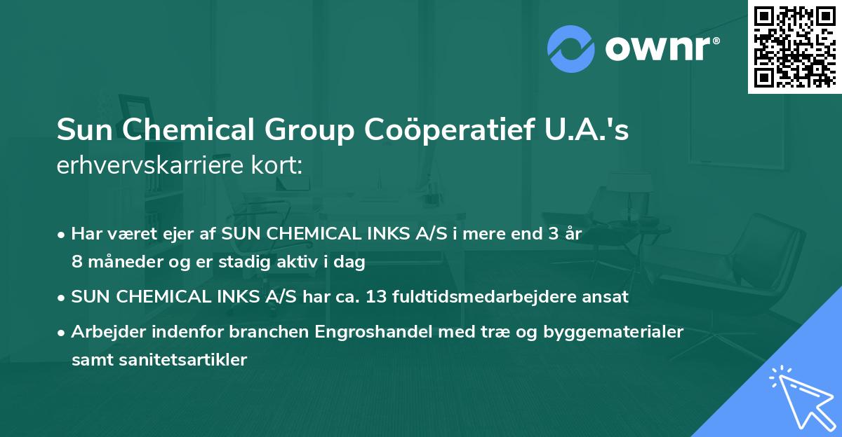 Sun Chemical Group Coöperatief U.A.'s erhvervskarriere kort