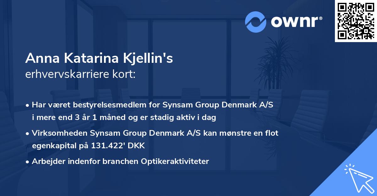 Anna Katarina Kjellin's erhvervskarriere kort