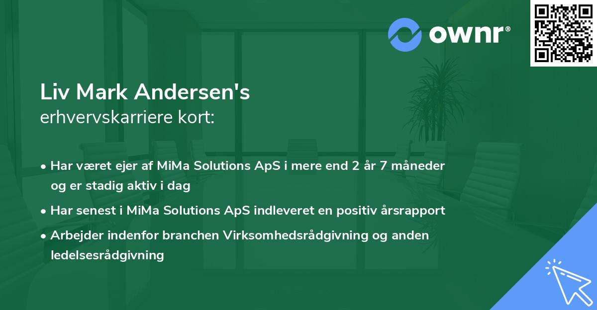 Liv Mark Andersen's erhvervskarriere kort