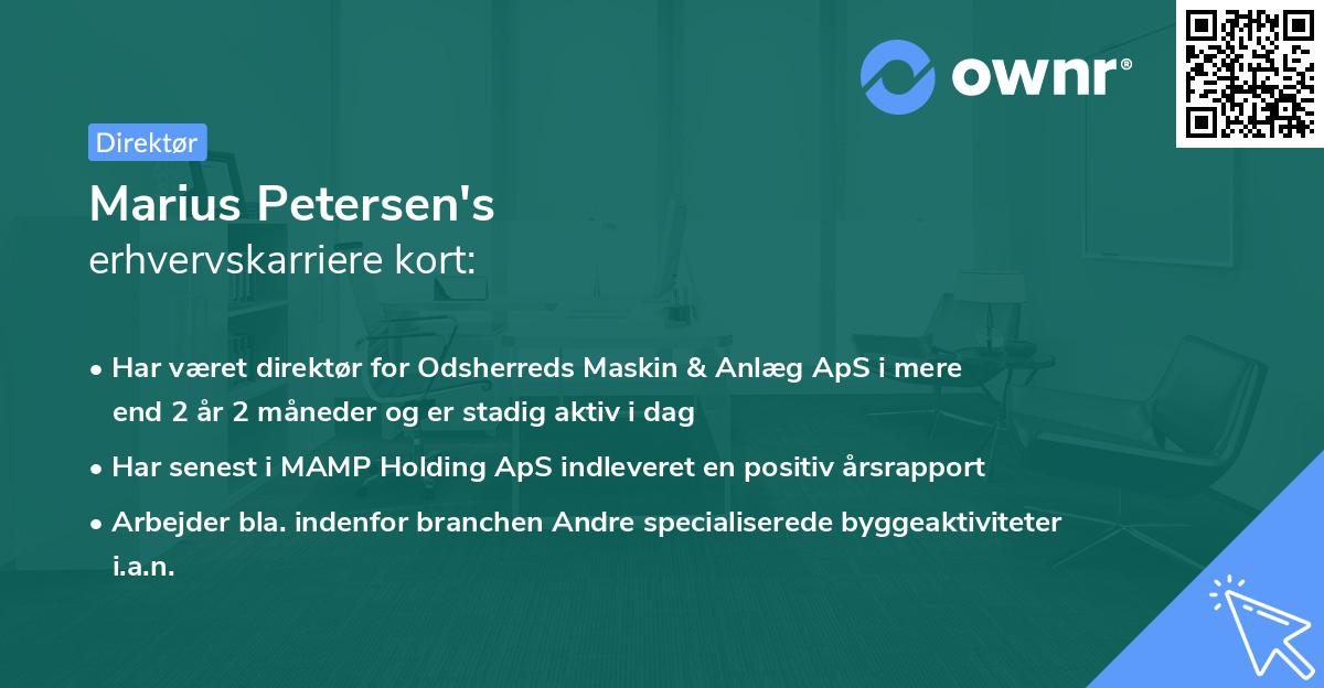 Marius Petersen's erhvervskarriere kort