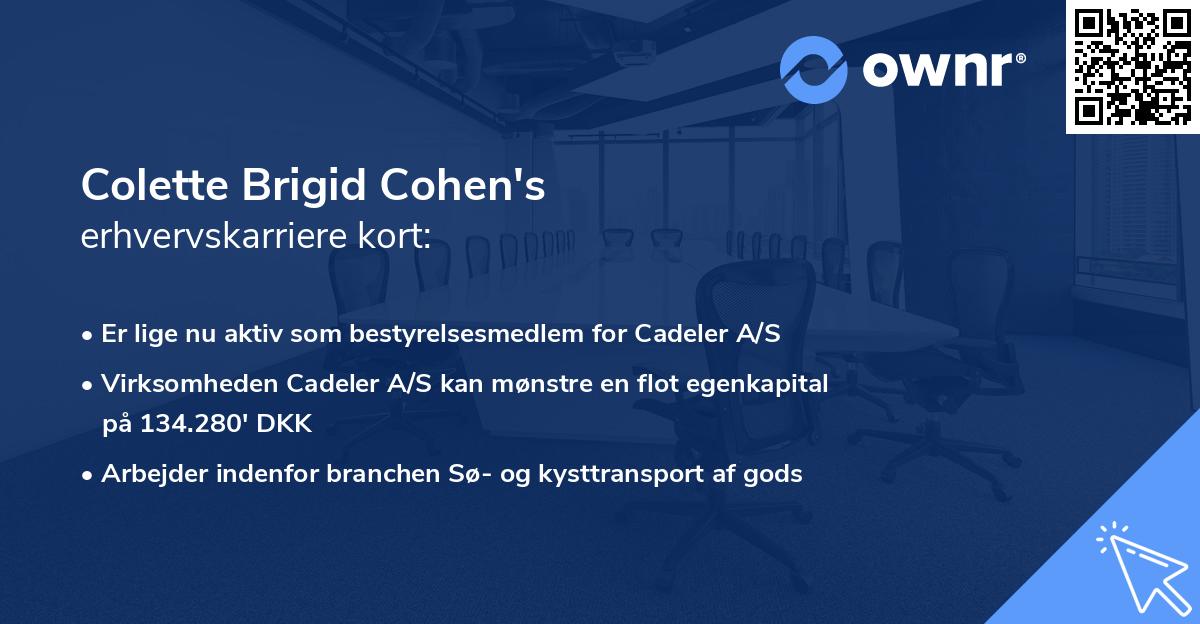 Colette Brigid Cohen's erhvervskarriere kort