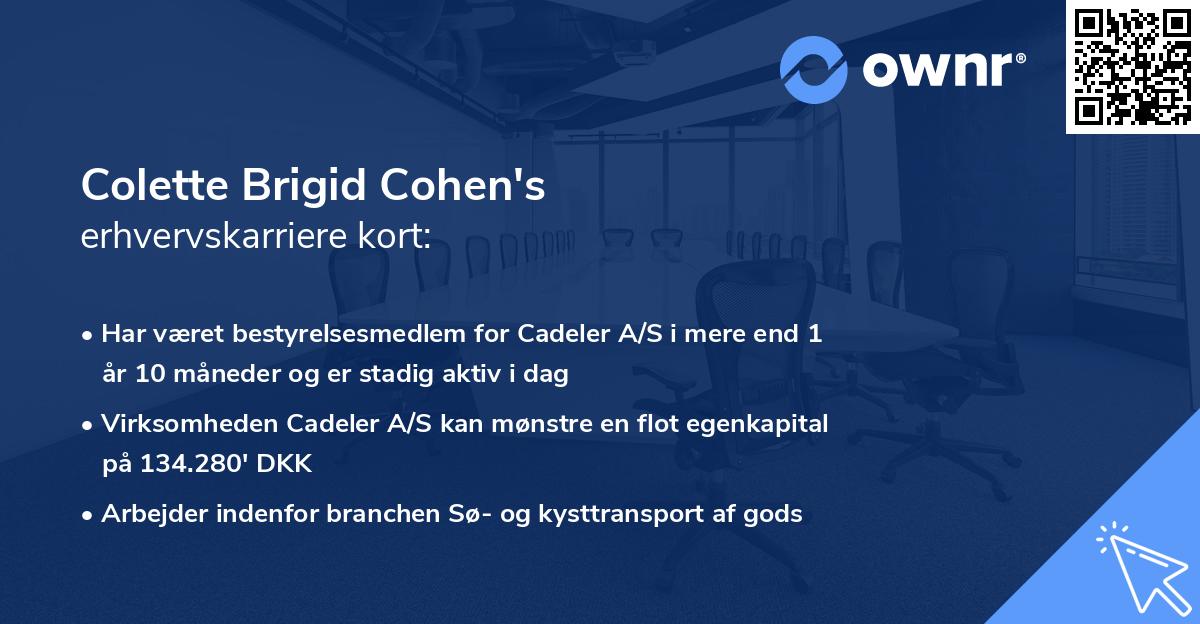 Colette Brigid Cohen's erhvervskarriere kort