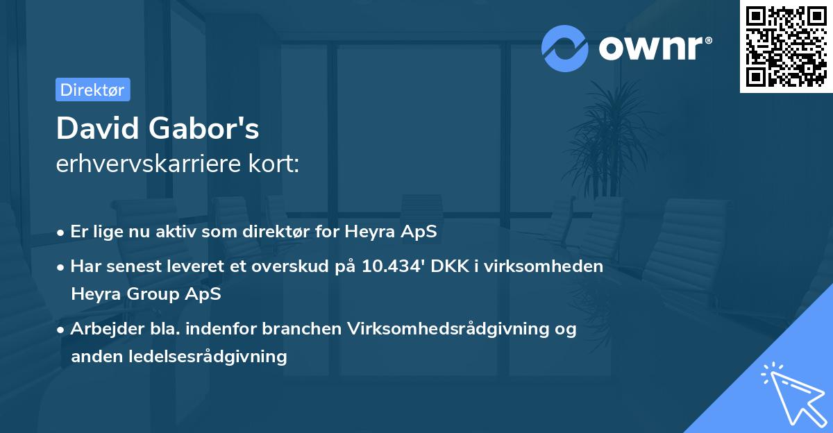 David Gabor's erhvervskarriere kort