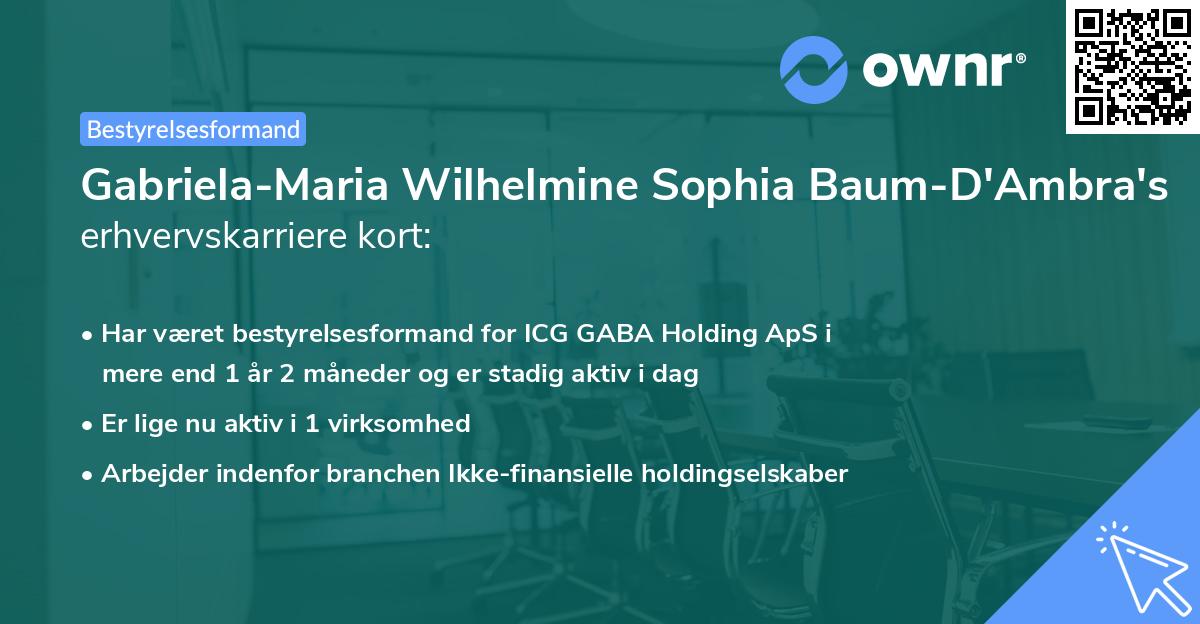 Gabriela-Maria Wilhelmine Sophia Baum-D'Ambra's erhvervskarriere kort