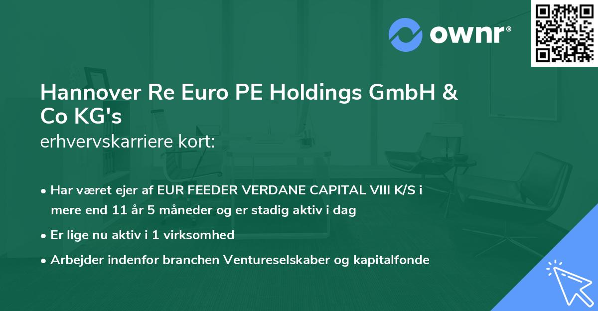 Hannover Re Euro PE Holdings GmbH & Co KG's erhvervskarriere kort