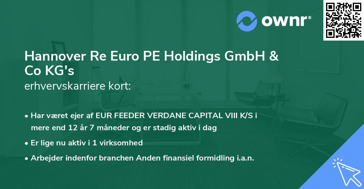 Hannover Re Euro PE Holdings GmbH & Co KG's erhvervskarriere kort