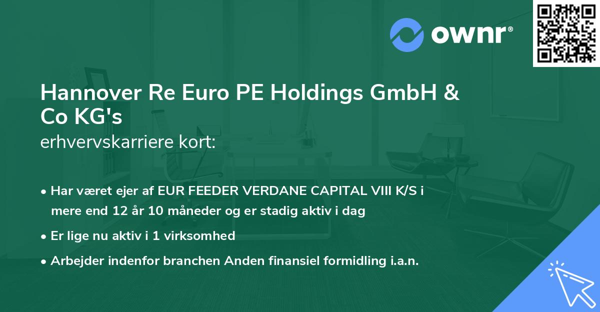 Hannover Re Euro PE Holdings GmbH & Co KG's erhvervskarriere kort
