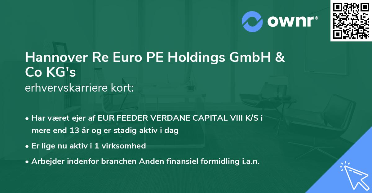 Hannover Re Euro PE Holdings GmbH & Co KG's erhvervskarriere kort