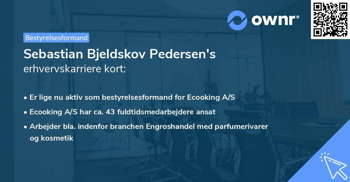 Sebastian Bjeldskov Pedersen's erhvervskarriere kort