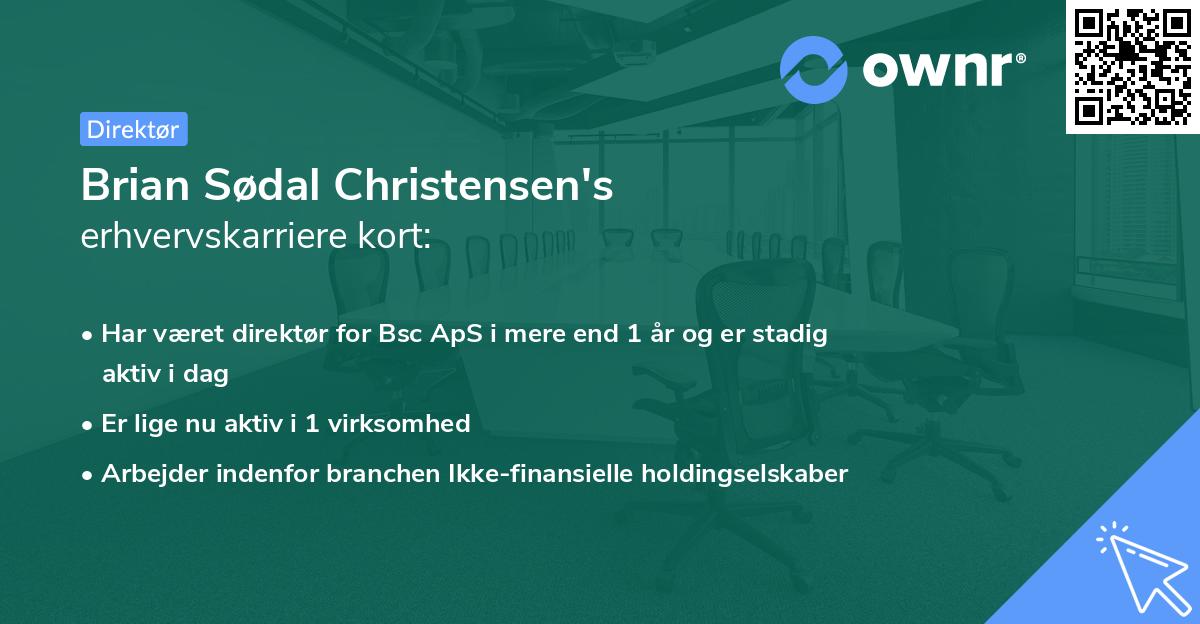 Brian Sødal Christensen's erhvervskarriere kort