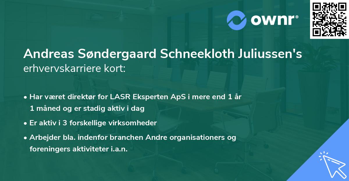 Andreas Søndergaard Schneekloth Juliussen's erhvervskarriere kort