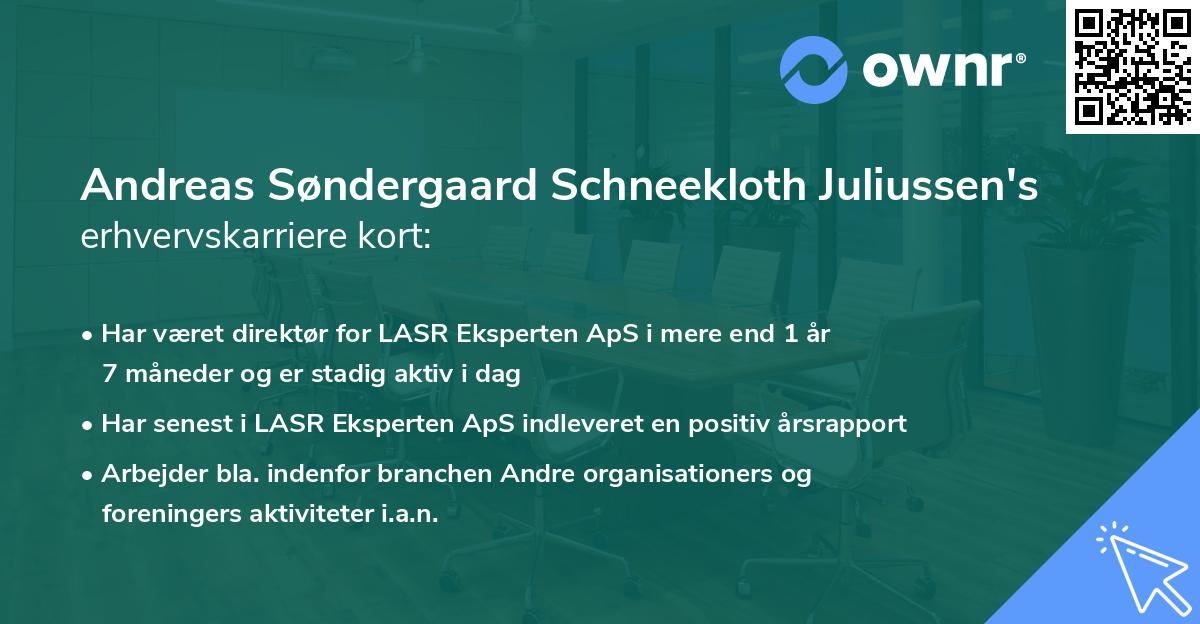 Andreas Søndergaard Schneekloth Juliussen's erhvervskarriere kort