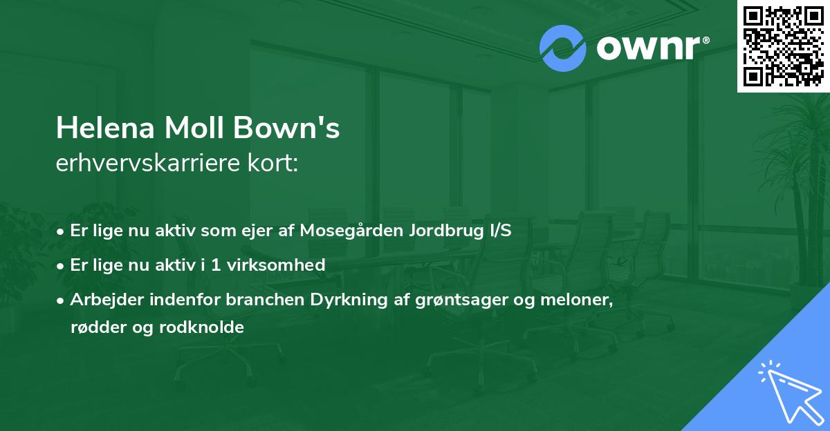 Helena Moll Bown's erhvervskarriere kort