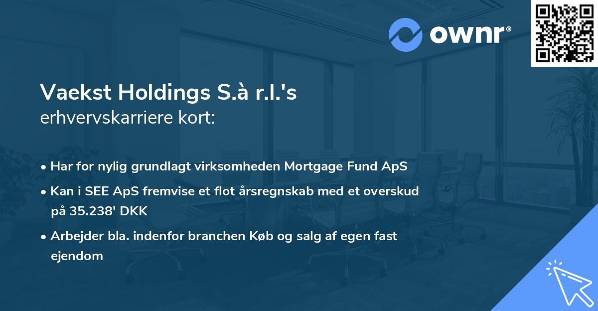 Vaekst Holdings S.à r.l.'s erhvervskarriere kort