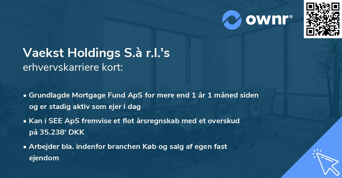 Vaekst Holdings S.à r.l.'s erhvervskarriere kort