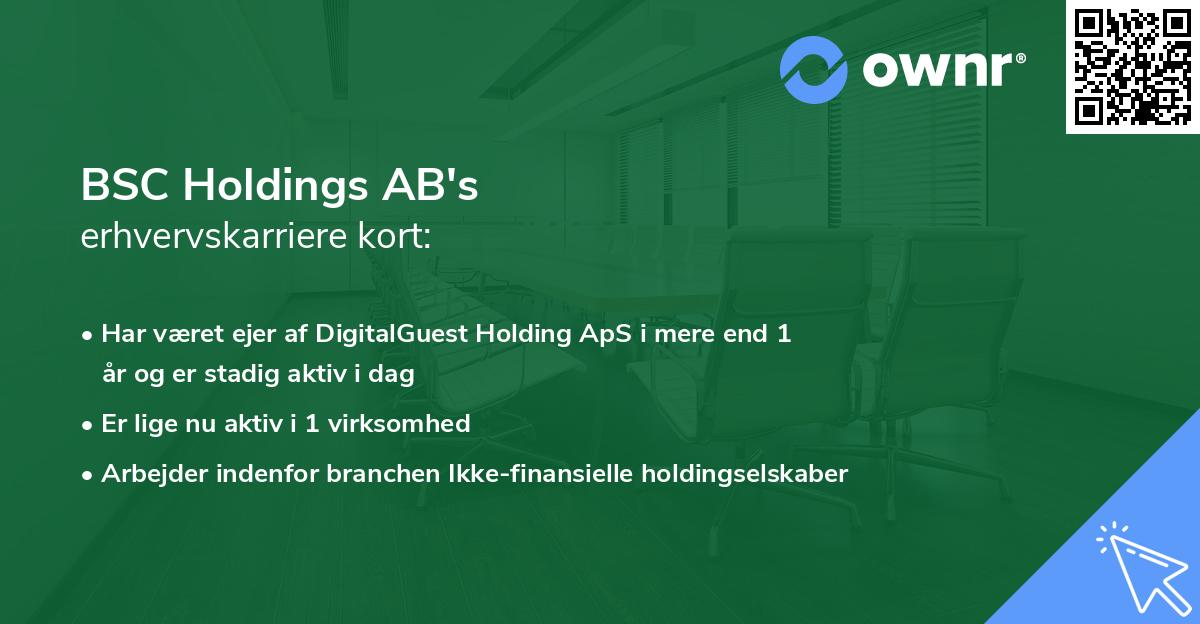BSC Holdings AB's erhvervskarriere kort