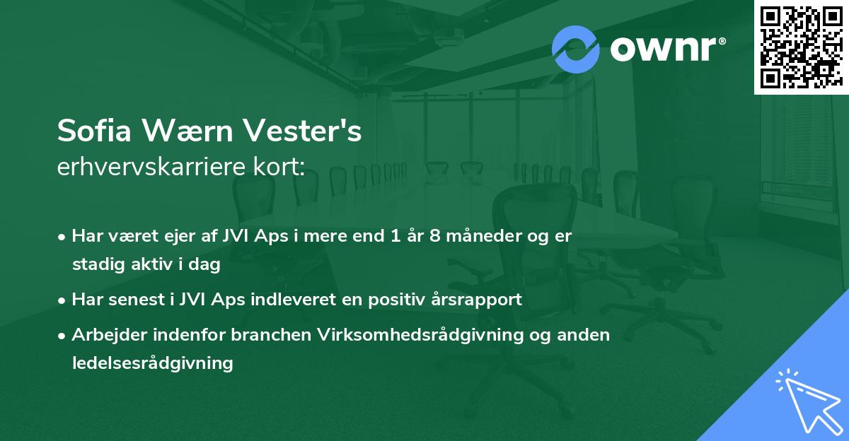 Sofia Wærn Vester's erhvervskarriere kort