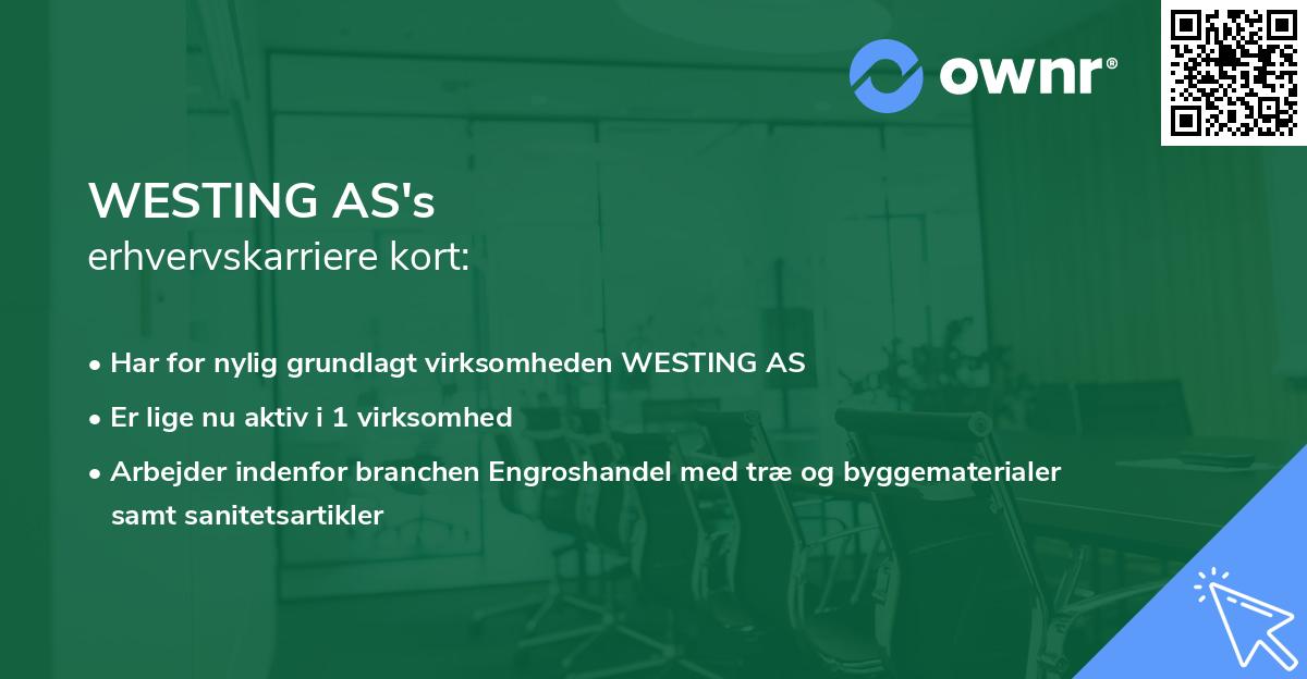 WESTING AS's erhvervskarriere kort