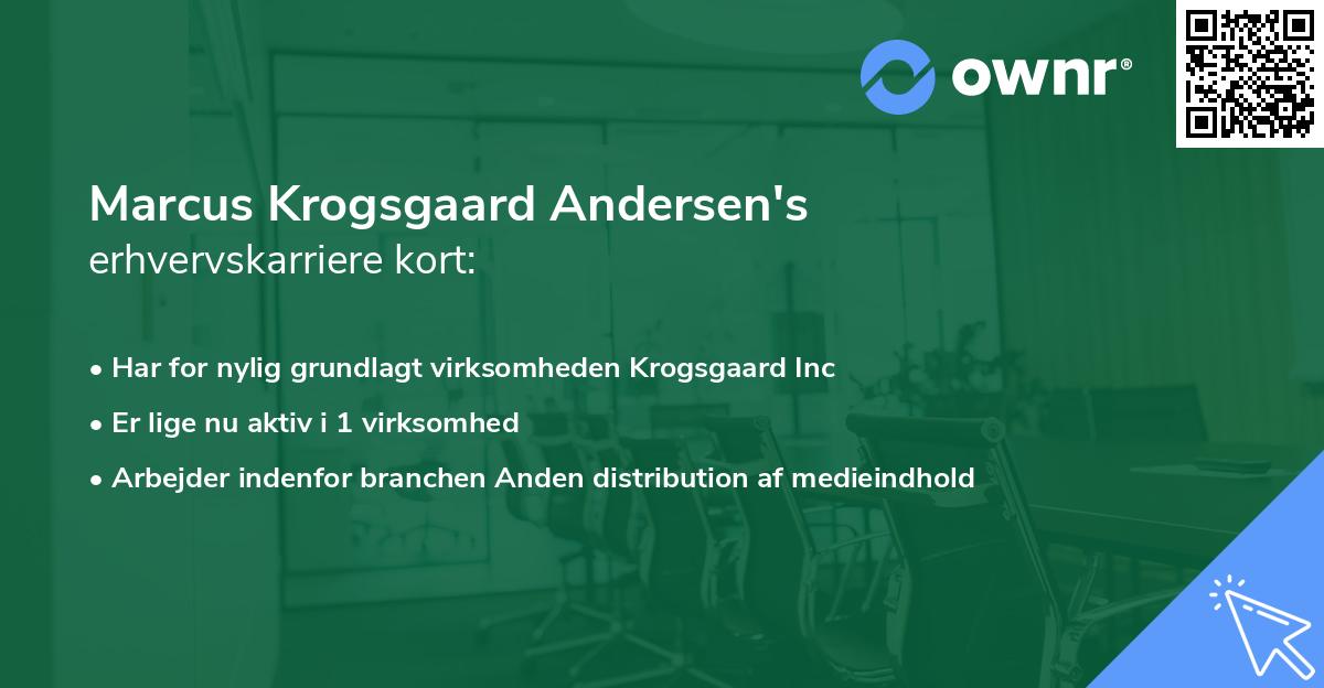 Marcus Krogsgaard Andersen's erhvervskarriere kort
