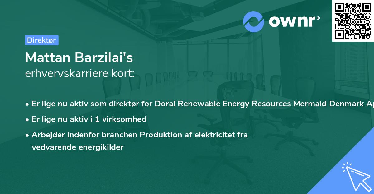 Mattan Barzilai's erhvervskarriere kort