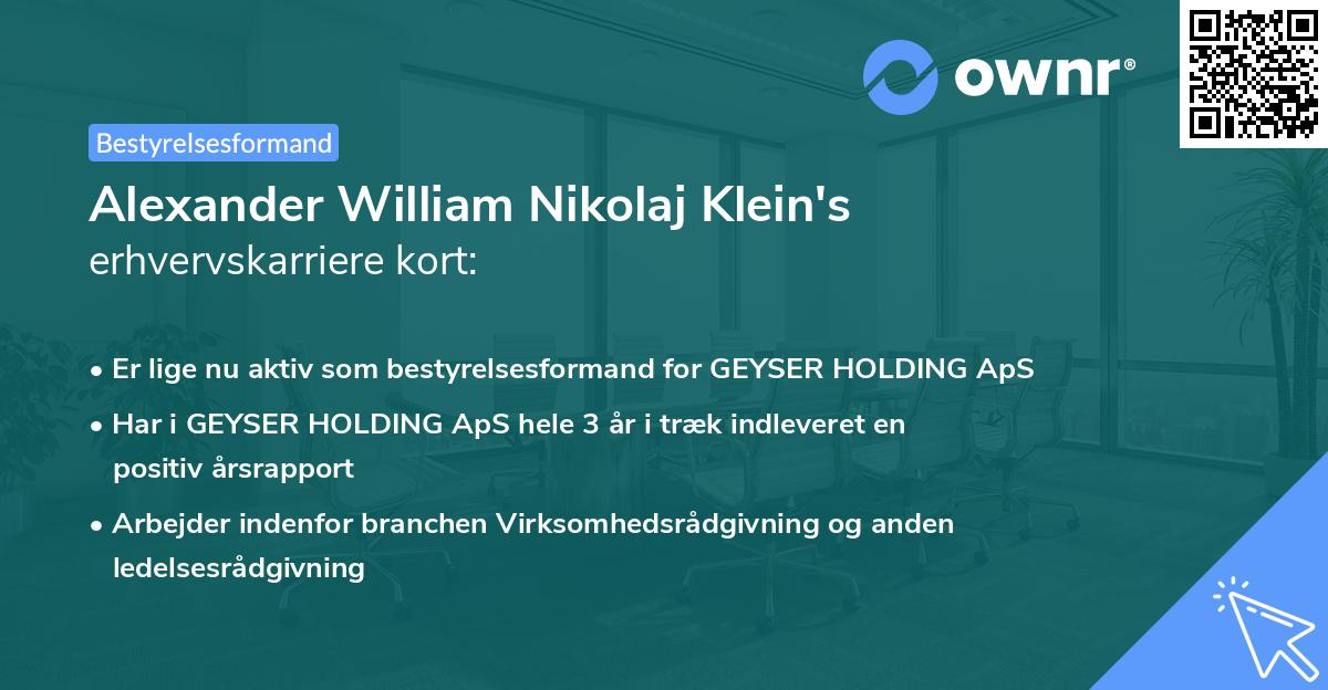 Alexander William Nikolaj Klein's erhvervskarriere kort