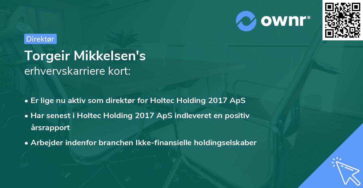 Torgeir Mikkelsen's erhvervskarriere kort