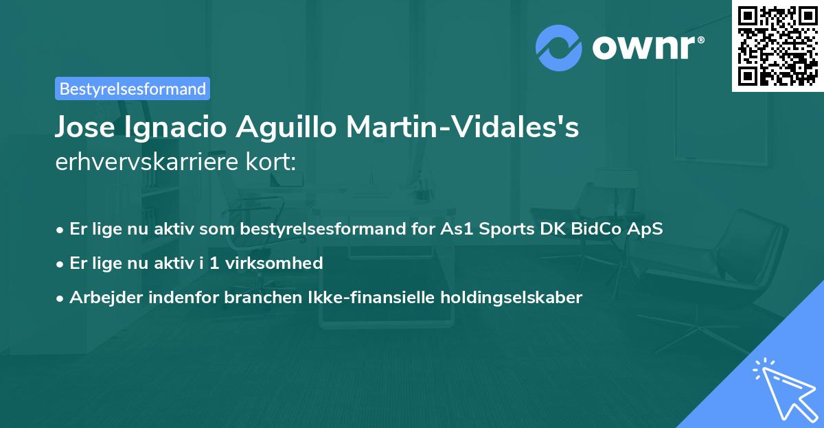 Jose Ignacio Aguillo Martin-Vidales's erhvervskarriere kort