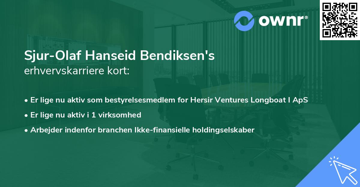 Sjur-Olaf Hanseid Bendiksen's erhvervskarriere kort