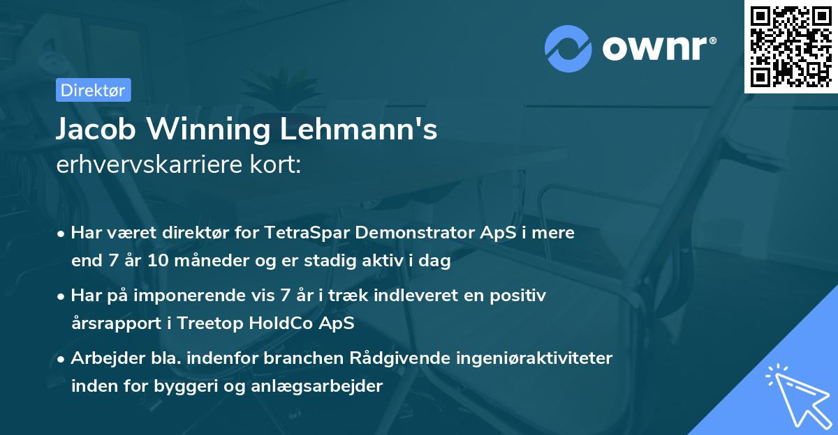 Jacob Winning Lehmann's erhvervskarriere kort