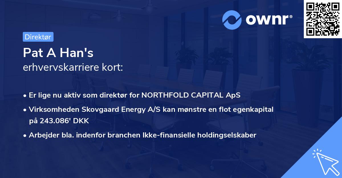 Pat A Han's erhvervskarriere kort