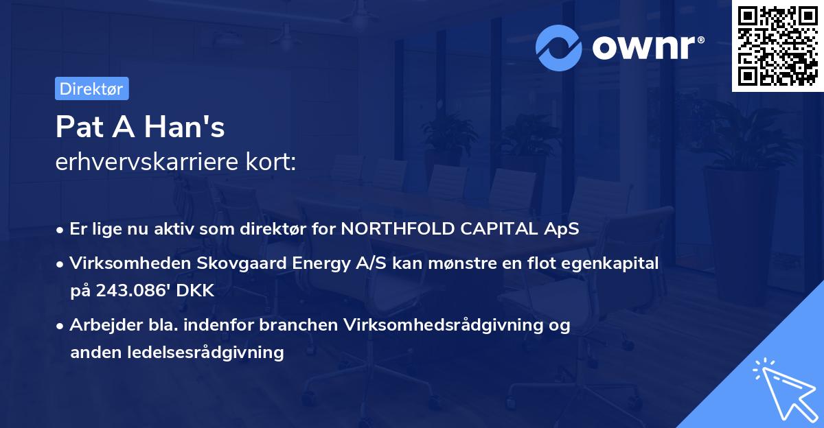 Pat A Han's erhvervskarriere kort