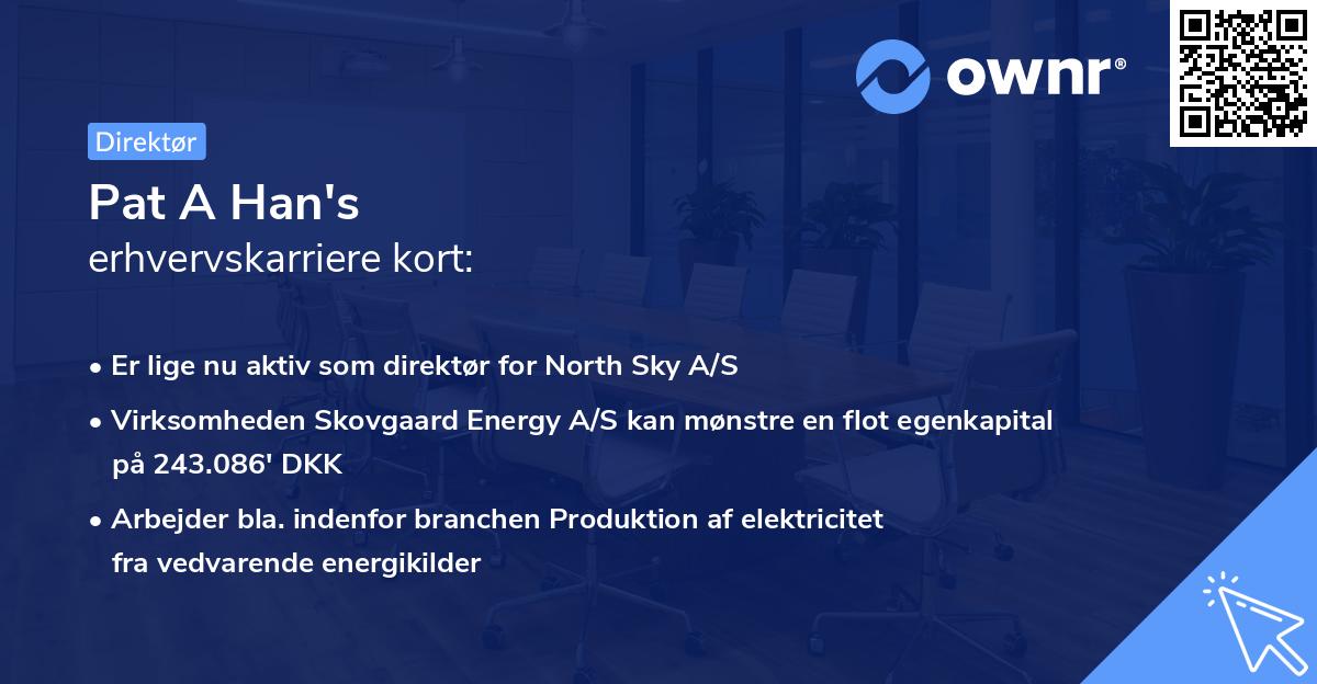 Pat A Han's erhvervskarriere kort
