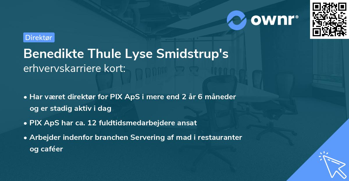 Benedikte Thule Lyse Smidstrup's erhvervskarriere kort