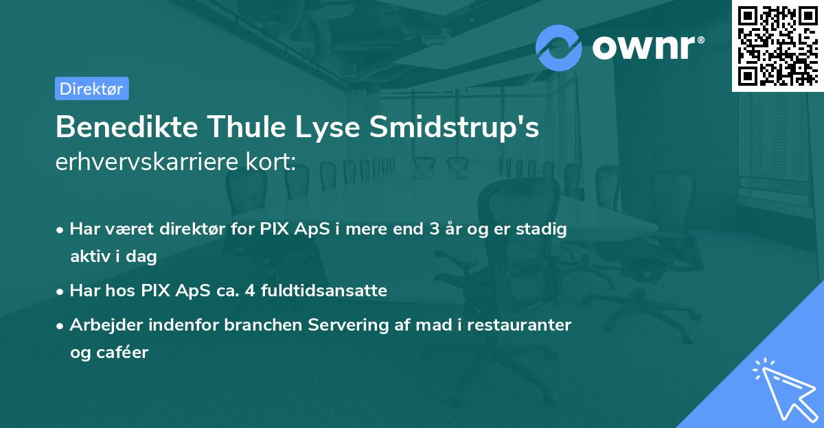 Benedikte Thule Lyse Smidstrup's erhvervskarriere kort